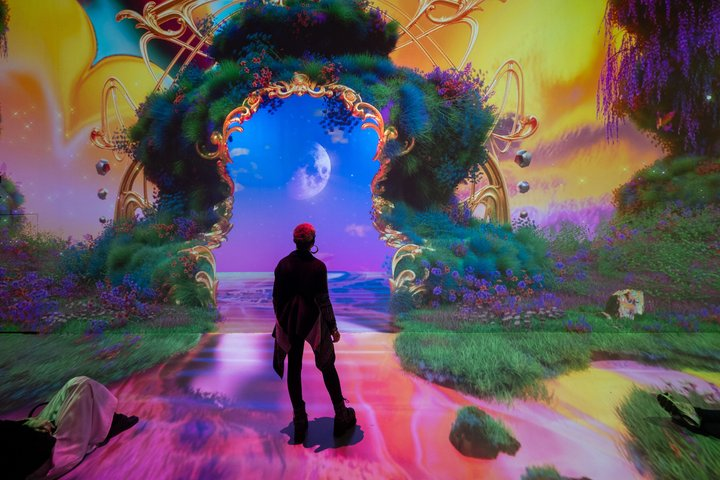 ARTECHOUSE DC Immersive Art Experience with Reserved Entry Time - Photo 1 of 7